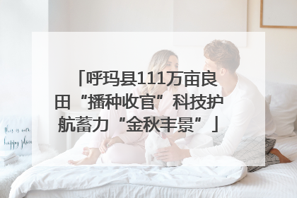呼玛县111万亩良田“播种收官”科技护航蓄力“金秋丰景”