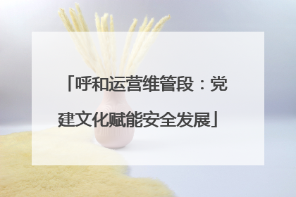 呼和运营维管段：党建文化赋能安全发展