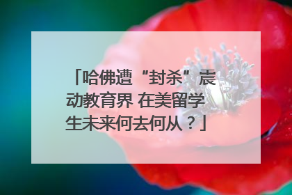 哈佛遭“封杀”震动教育界 在美留学生未来何去何从？