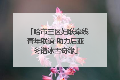哈市三区妇联牵线青年联谊 助力后亚冬谱冰雪奇缘