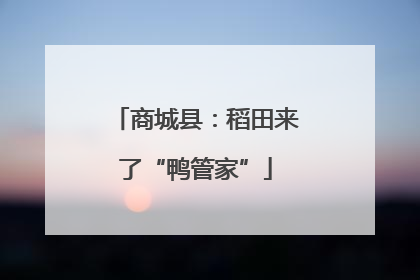 商城县：稻田来了“鸭管家”