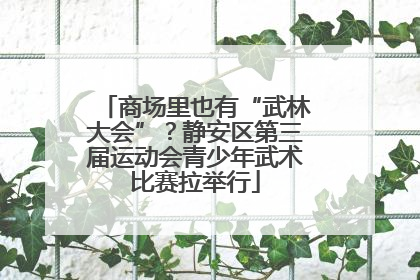 商场里也有“武林大会”？静安区第三届运动会青少年武术比赛拉举行
