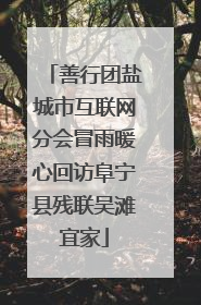 善行团盐城市互联网分会冒雨暖心回访阜宁县残联吴滩宜家