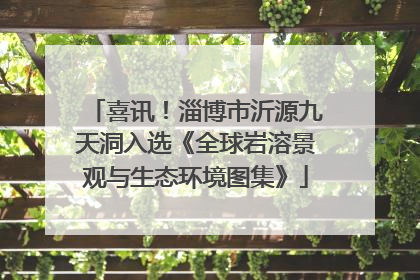 喜讯！淄博市沂源九天洞入选《全球岩溶景观与生态环境图集》