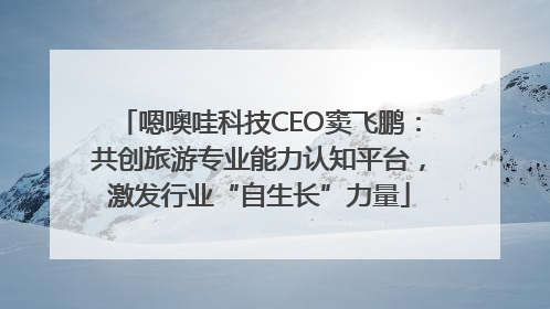 嗯噢哇科技CEO窦飞鹏：共创旅游专业能力认知平台，激发行业“自生长”力量