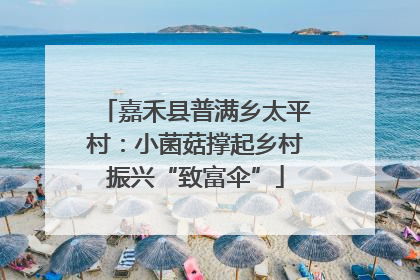嘉禾县普满乡太平村：小菌菇撑起乡村振兴“致富伞”