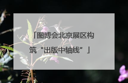 图博会北京展区构筑“出版中轴线”