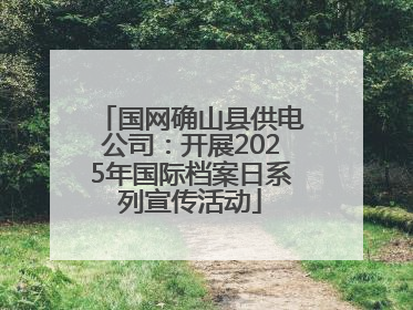国网确山县供电公司：开展2025年国际档案日系列宣传活动