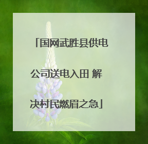 国网武胜县供电公司送电入田 解决村民燃眉之急