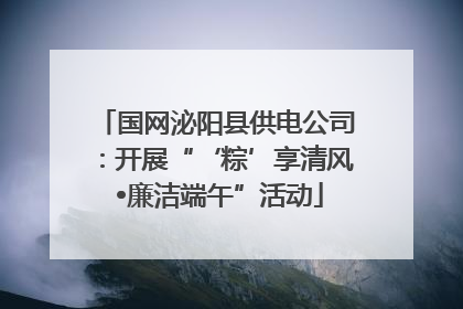 国网泌阳县供电公司：开展“‘粽’享清风 •廉洁端午”活动