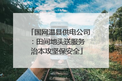 国网温县供电公司：田间地头送服务 治本攻坚保安全