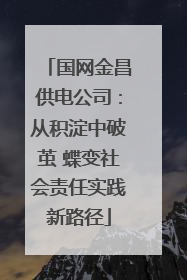 国网金昌供电公司：从积淀中破茧 蝶变社会责任实践新路径
