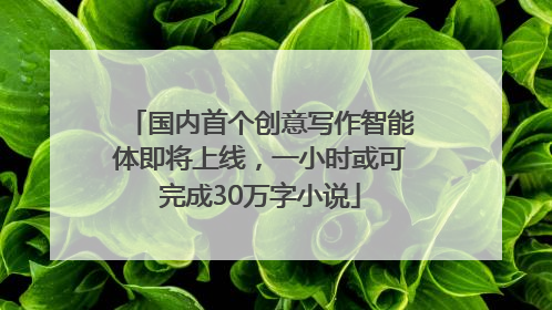 国内首个创意写作智能体即将上线，一小时或可完成30万字小说