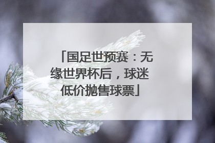 国足世预赛：无缘世界杯后，球迷低价抛售球票