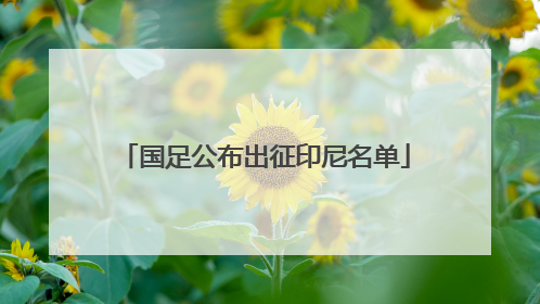 国足公布出征印尼名单