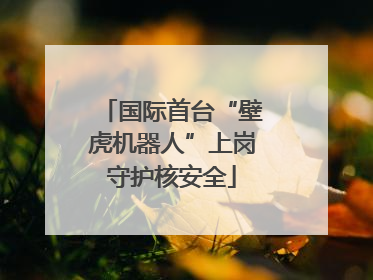 国际首台“壁虎机器人”上岗守护核安全