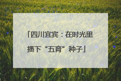 四川宜宾：在时光里播下“五育”种子
