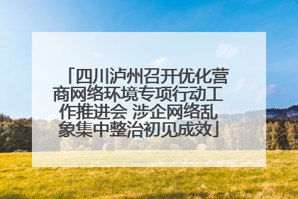 四川泸州召开优化营商网络环境专项行动工作推进会 涉企网络乱象集中整治初见成效