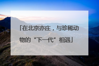 在北京亦庄，与珍稀动物的“下一代”相遇