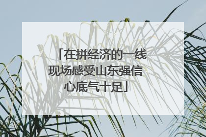 在拼经济的一线现场感受山东强信心底气十足