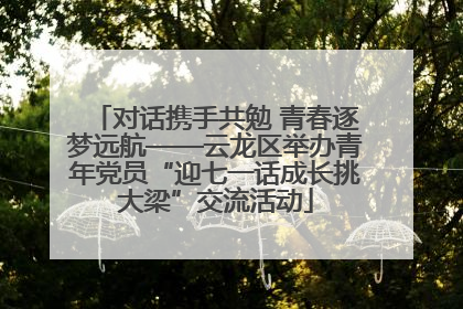 对话携手共勉 青春逐梦远航——云龙区举办青年党员“迎七一话成长挑大梁”交流活动