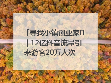 寻找小镇创业家㊱｜12亿抖音流量引来游客20万人次 “襄阳许三多”爆改家乡打造网红村