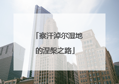 察汗淖尔湿地的涅槃之路