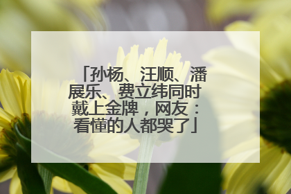 孙杨、汪顺、潘展乐、费立纬同时戴上金牌，网友：看懂的人都哭了