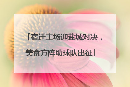 宿迁主场迎盐城对决，美食方阵助球队出征