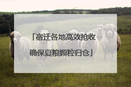 宿迁各地高效抢收 确保夏粮颗粒归仓