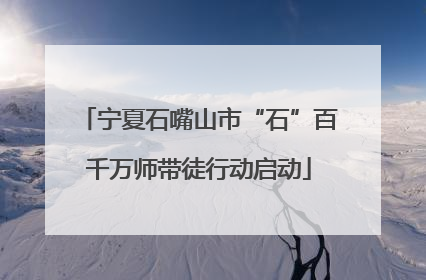 宁夏石嘴山市“石”百千万师带徒行动启动