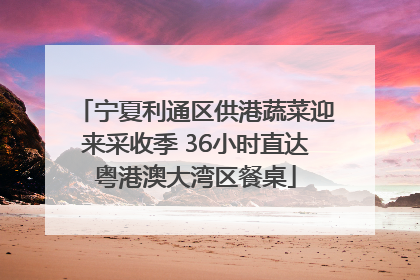 宁夏利通区供港蔬菜迎来采收季 36小时直达粤港澳大湾区餐桌