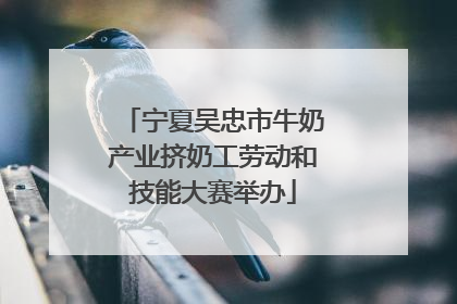 宁夏吴忠市牛奶产业挤奶工劳动和技能大赛举办