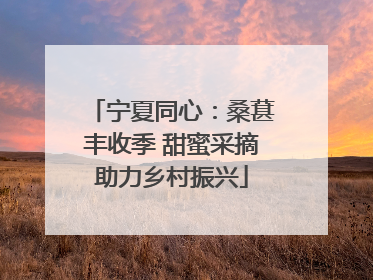 宁夏同心：桑葚丰收季 甜蜜采摘助力乡村振兴