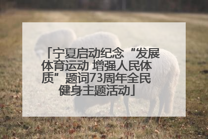 宁夏启动纪念“发展体育运动 增强人民体质”题词73周年全民健身主题活动