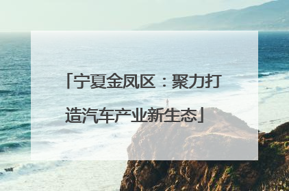 宁夏金凤区：聚力打造汽车产业新生态