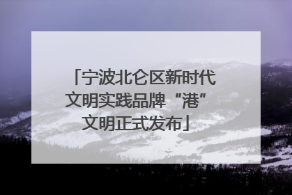 宁波北仑区新时代文明实践品牌“港”文明正式发布