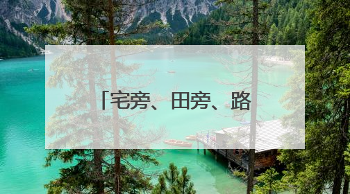 宅旁、田旁、路旁、水旁，整治提升人居环境，这里从“一处美”向“全域美”蝶变