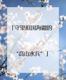 守望祖国海疆的“高山水兵”