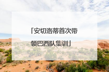 安切洛蒂首次带领巴西队集训