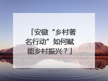 安徽“乡村著名行动”如何赋能乡村振兴？