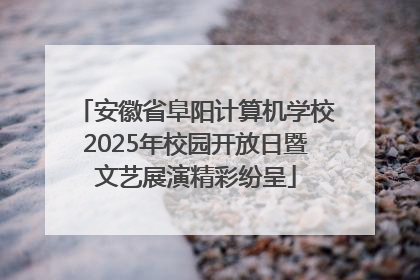 安徽省阜阳计算机学校2025年校园开放日暨文艺展演精彩纷呈