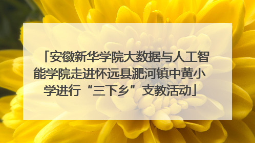 安徽新华学院大数据与人工智能学院走进怀远县淝河镇中黄小学进行“三下乡”支教活动