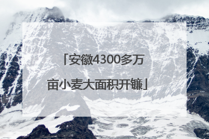 安徽4300多万亩小麦大面积开镰