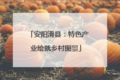 安阳滑县：特色产业绘就乡村图景