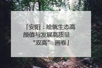 安阳：绘就生态高颜值与发展高质量 “双高” 画卷