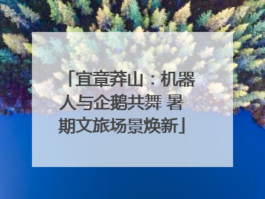 宜章莽山：机器人与企鹅共舞 暑期文旅场景焕新