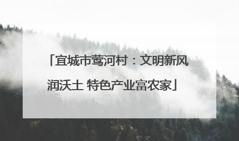 宜城市莺河村：文明新风润沃土 特色产业富农家