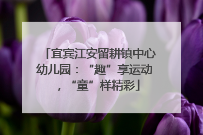 宜宾江安留耕镇中心幼儿园：“趣”享运动，“童”样精彩