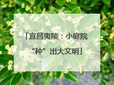 宜昌夷陵：小庭院“种”出大文明